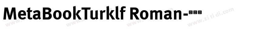 MetaBookTurklf Roman字体转换